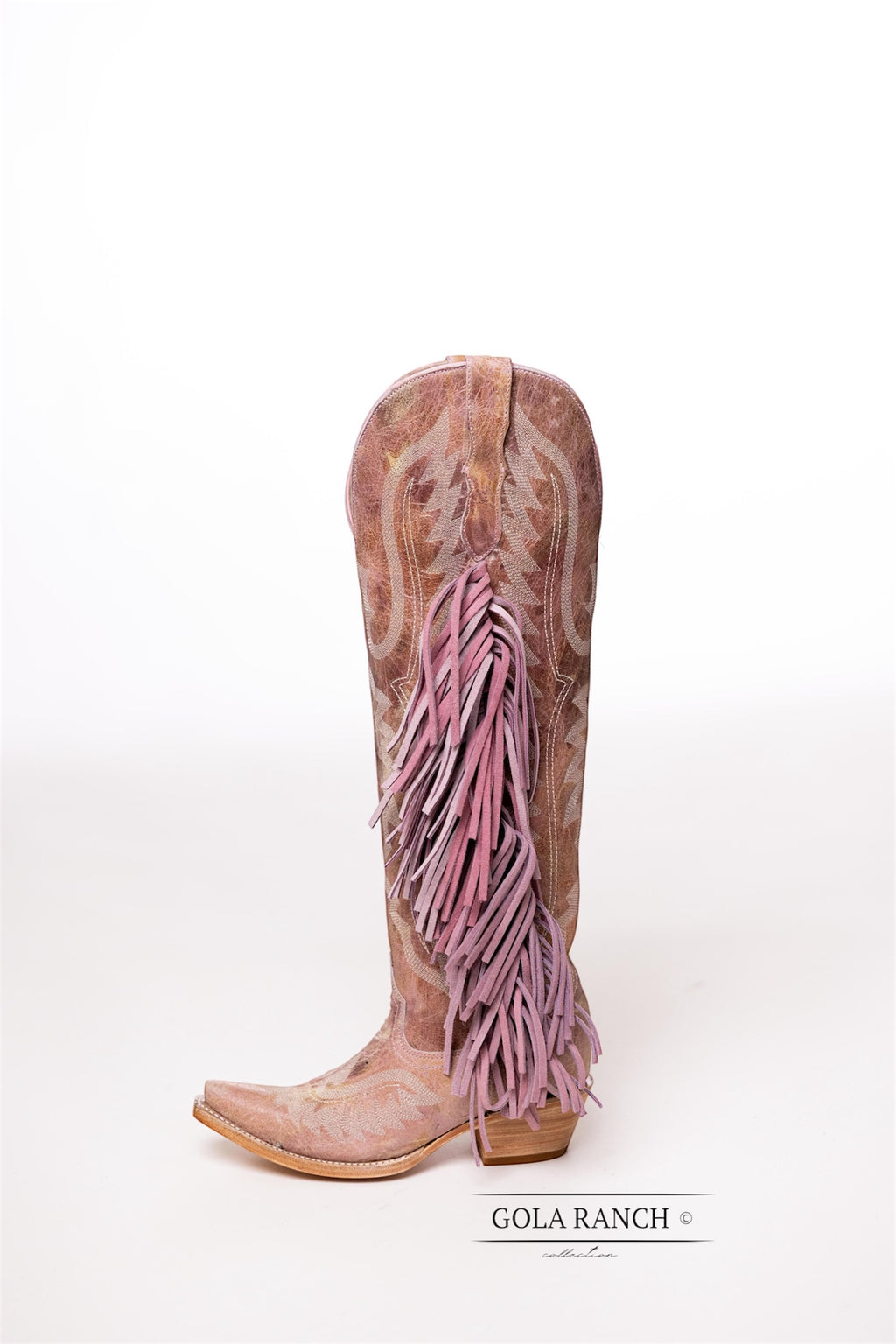 Aguilon rosA18