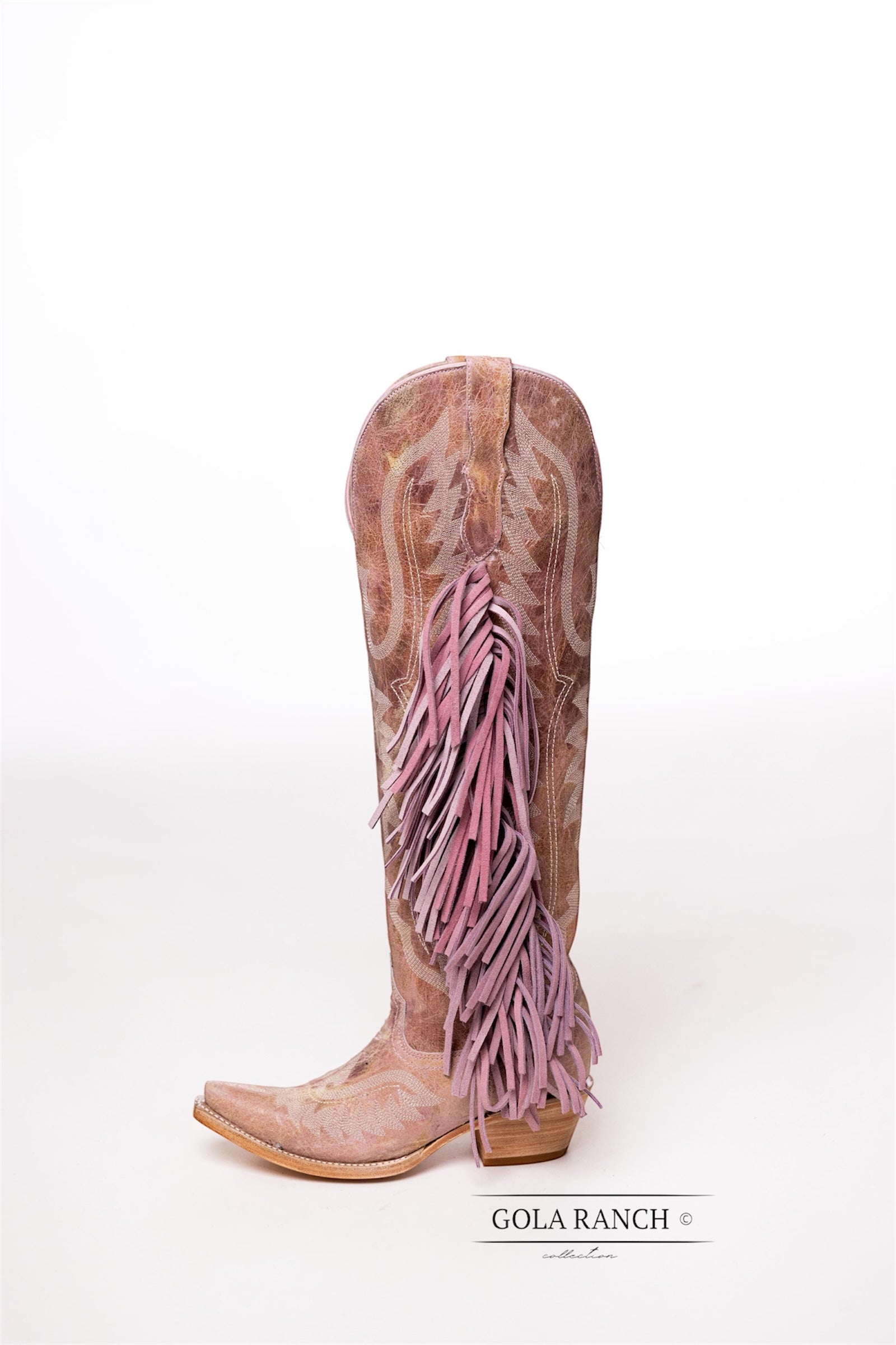Aguilon rosA18