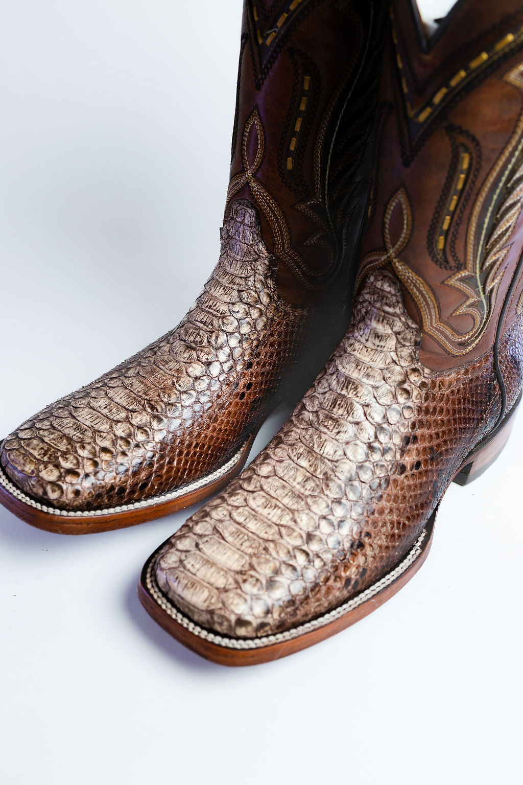 Python Cognac